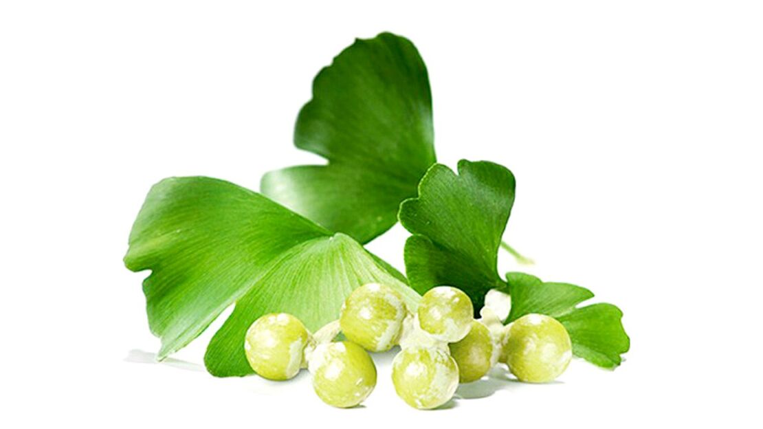 Ginkgo Bilobe OstyHealth