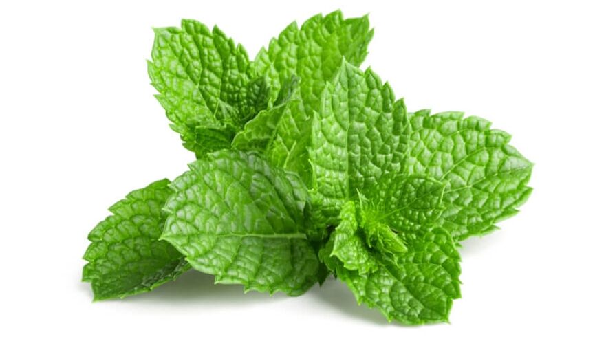 mentol OstyHealth